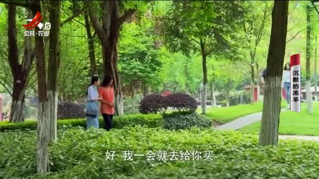 乡村栏目剧场20241202 沉默的羔羊
