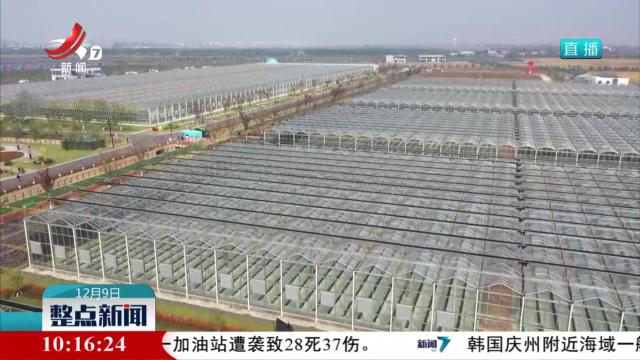 农业保险为农业生产撑起“保护伞”