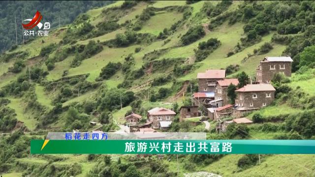 稻花香里20241210 稻花走四方——旅游兴村走出共富路