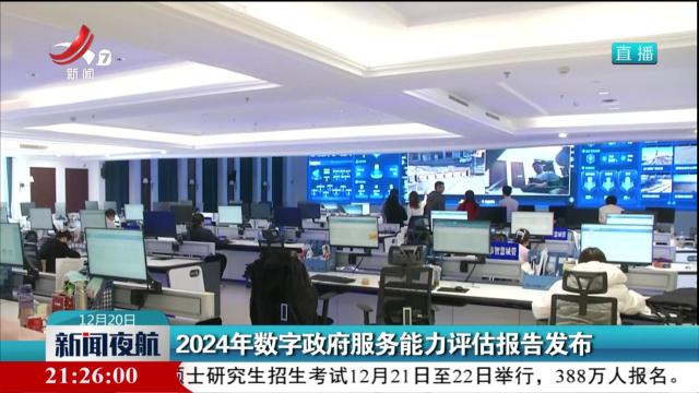 2024年数字政府服务能力评估报告发布
