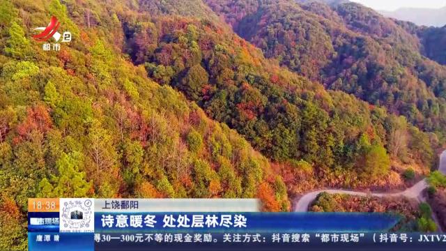 上饶鄱阳：诗意暖冬 处处层林尽染