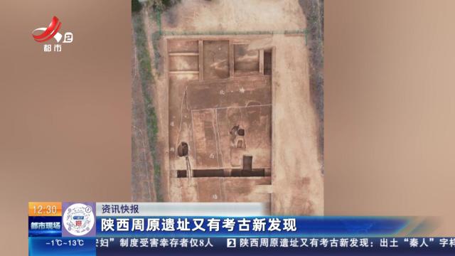 陕西周原遗址又有考古新发现