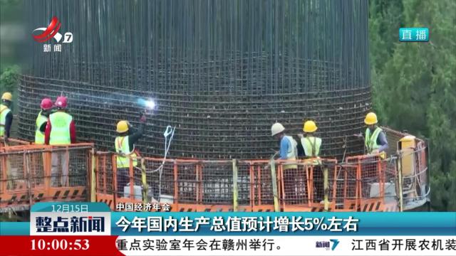【中国经济年会】今年国内生产总值预计增长5％左右