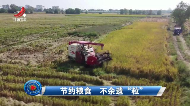 社会传真20241213 节约粮食 不余遗“粒”