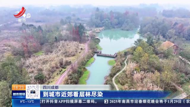 四川成都：到城市近郊看层林尽染