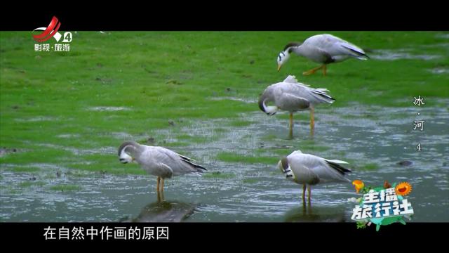 主播旅行社20241213 冰·河4