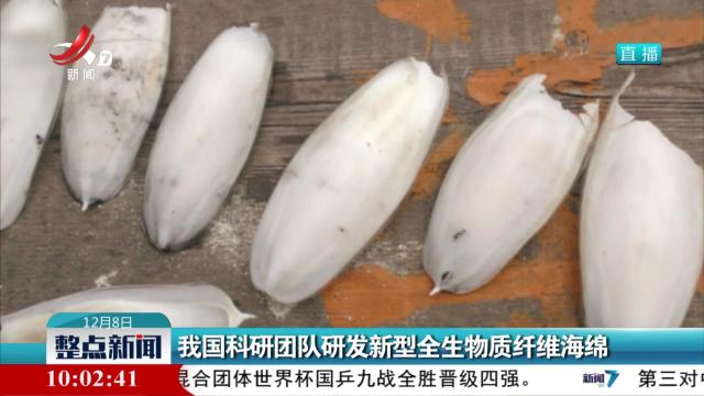 我国科研团队研发新型全生物质纤维海绵