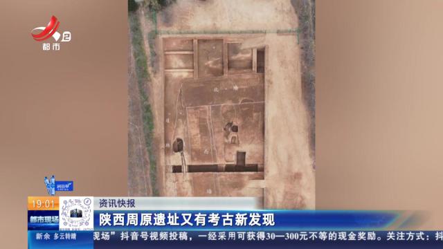 陕西周原遗址又有考古新发现