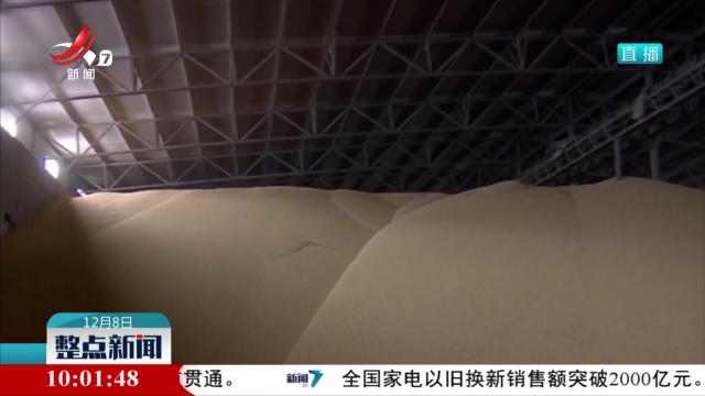 全国秋粮收购进入旺季 收购进度加快