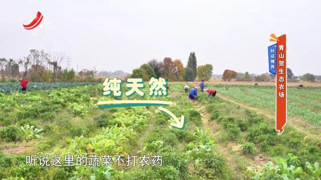 好店推荐——青山贺生态农场