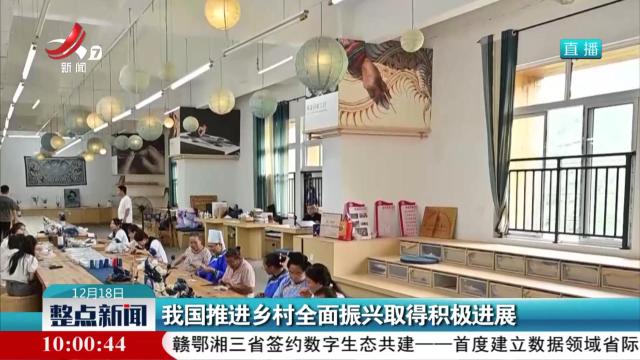 我国推进乡村全面振兴取得积极进展