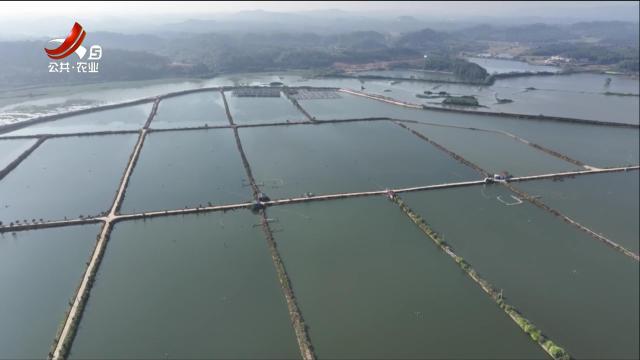 三农头条20241227