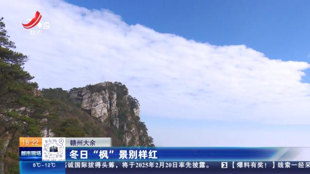赣州大余：冬日“枫”景别样红