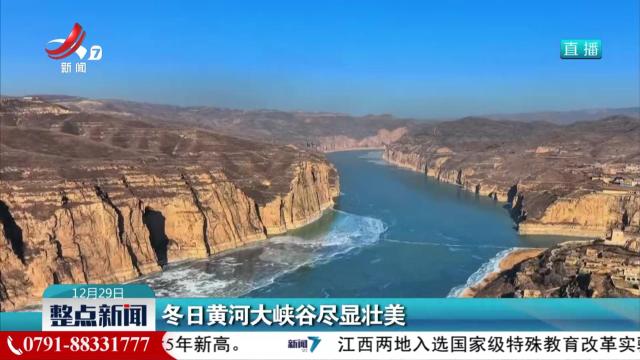 整点新闻20241229 12:00