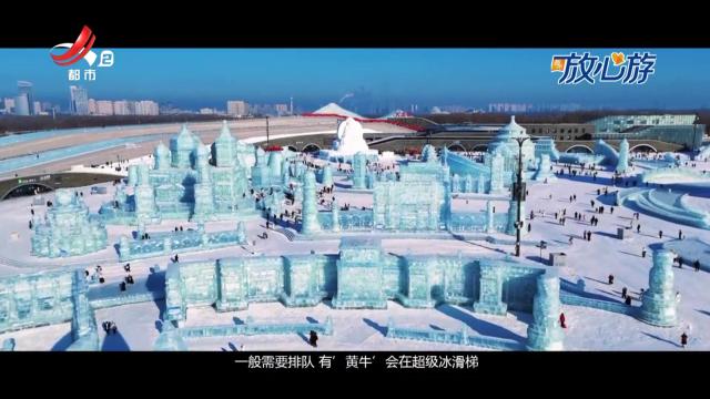 都市放心游20241229