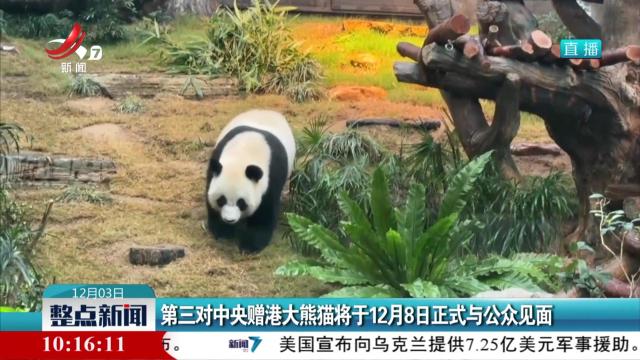 第三对中央赠港大熊猫将于12月8日正式与公众见面