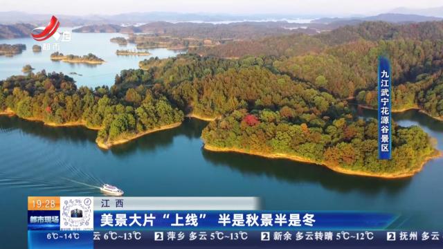 都市现场20241208