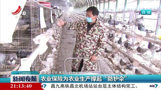 农业保险为农业生产撑起“防护伞”