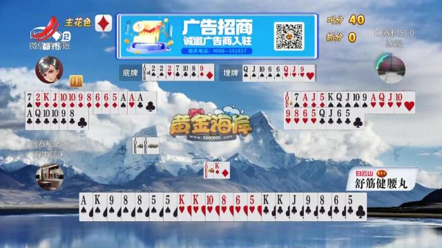 谁是赢家20241231