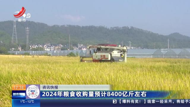 2024年粮食收购量预计8400亿斤左右