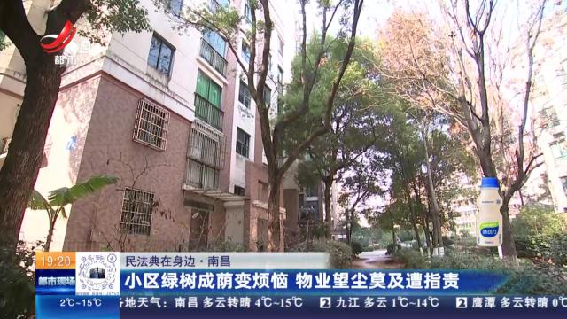【民法典在身边】南昌：小区绿树成荫变烦恼 物业望尘莫及遭指责
