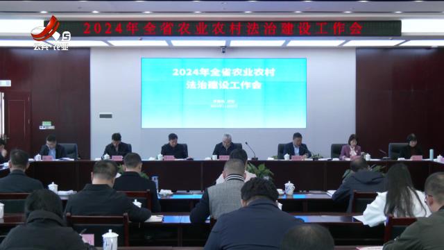 三农头条20241202