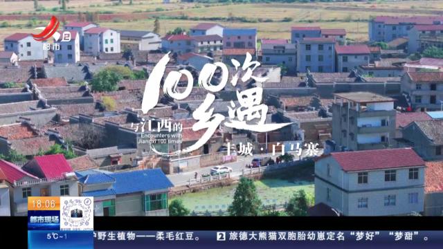 【与江西的100次乡遇】丰城·白马寨