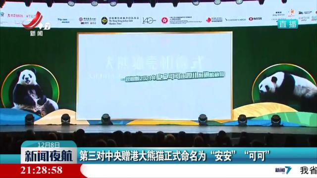 第三对中央赠港大熊猫正式命名为“安安”“可可”