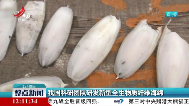 我国科研团队研发新型全生物质纤维海绵