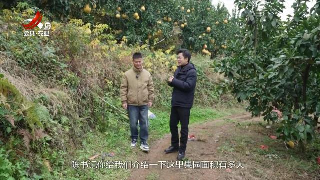 赣出精彩20241220