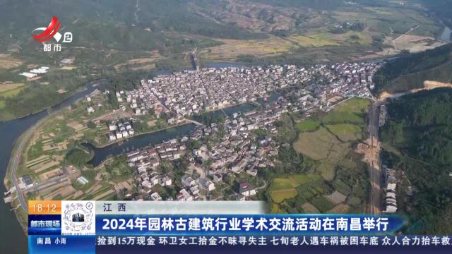 都市现场20241204