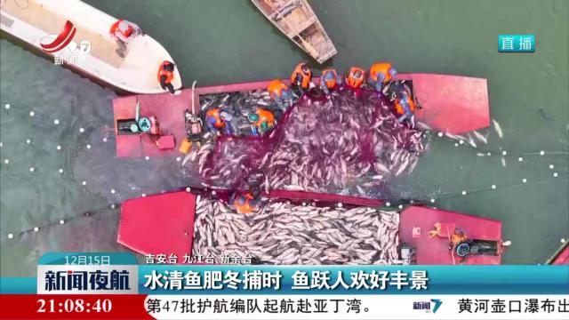 水清鱼肥冬捕时 鱼跃人欢好丰景