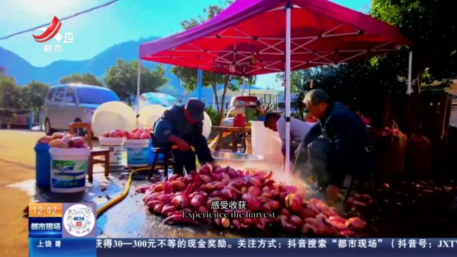 浙江浦江：“双语”推介家乡特产 这段视频带火山区农产品