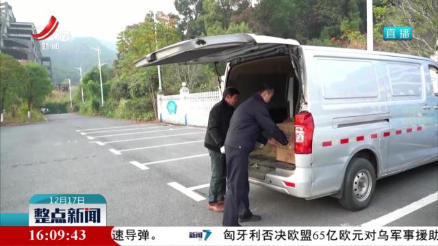 雀鹰“登门”不走 民警提供救护