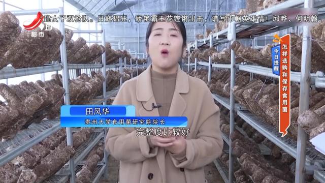 今日提醒——怎样选购和保存食用菌