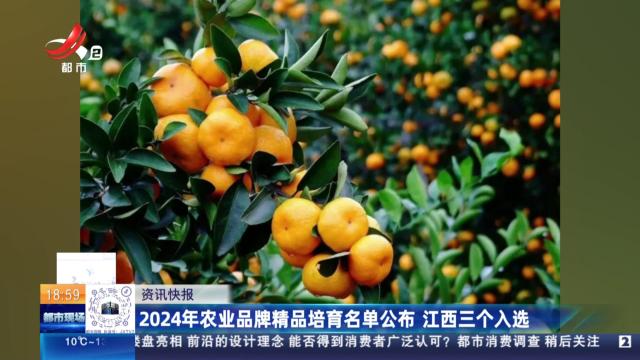 2024年农业品牌精品培育名单公布 江西三个入选
