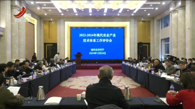三农头条20241225