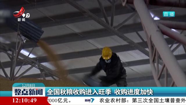 全国秋粮收购进入旺季 收购进度加快