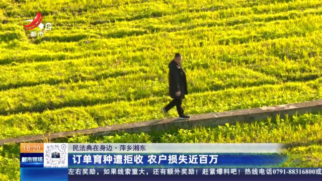 【民法典在身边】萍乡湘东：订单育种遭拒收 农户损失近百万