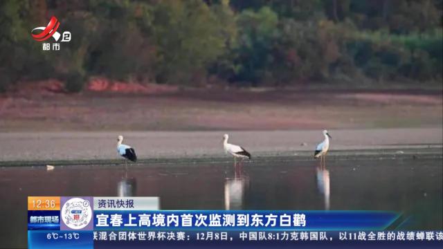 宜春上高境内首次监测到东方白鹳