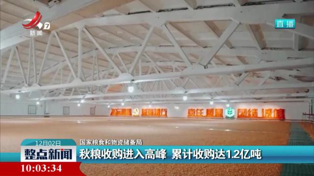 【国家粮食和物资储备局】秋粮收购进入高峰 累计收购达1.2亿吨