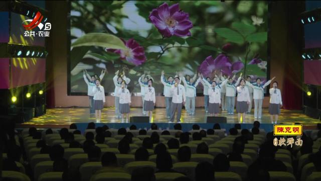 新闻晚高峰20241229