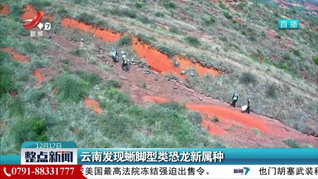 云南发现蜥脚型类恐龙新属种