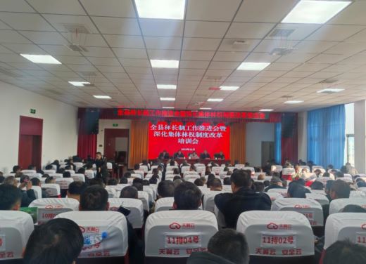 上高县召开深化集体林权制度改革培训会