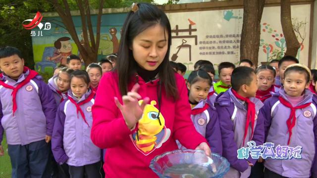 科学真好玩20241227（第二期）