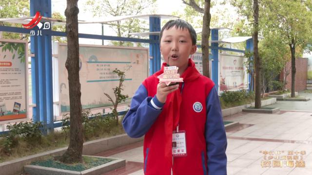 红领巾小记者20241205