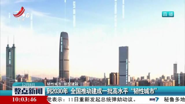 【韧性城市 新型建设】到2030年 全国推动建成一批高水平“韧性城市”