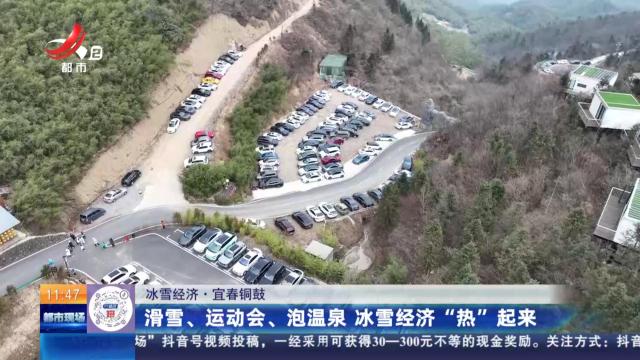 都市现场·午间版20241228