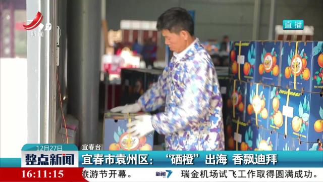 宜春市袁州区：“硒橙”出海 香飘迪拜