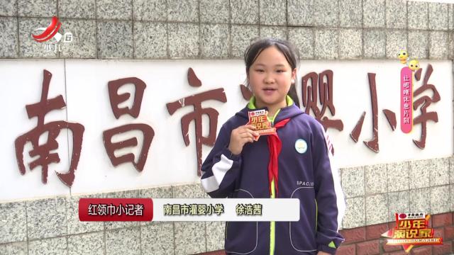 红领巾小记者20241214
